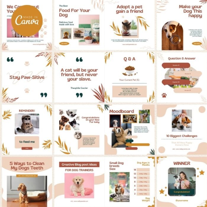 Social Media Canva Templates