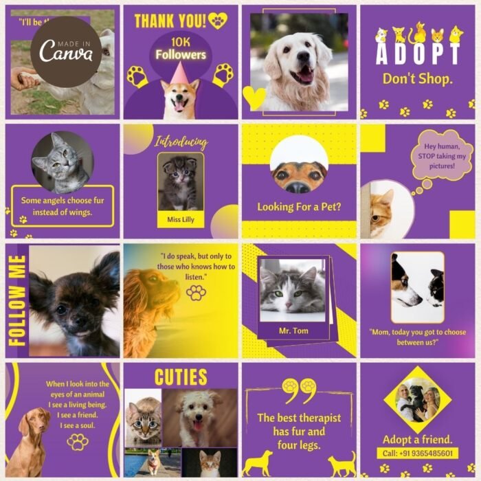 Pet Social Media Templates